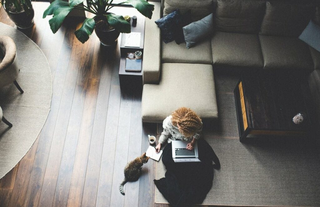 woman work from home with cat NZwXu.width .jpg