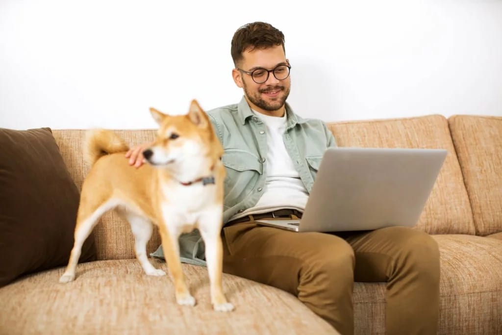 Man using laptop with his Shiba Inu dog besid.width VTxIaTW.jpg