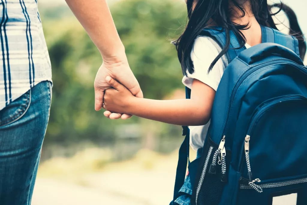 Parent and child in backpack holding hands.width .jpg