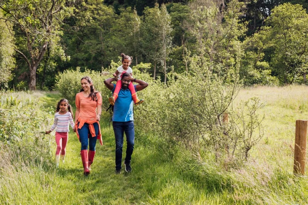 family walking in woods xGQitT.width .jpg