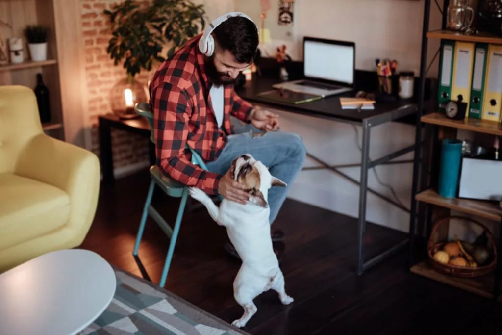 man work from home with dog TBVklM.width .jpg