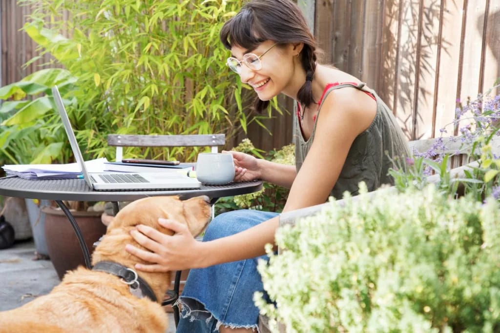 woman petting dog with laptop outside CAJazq.width .jpg