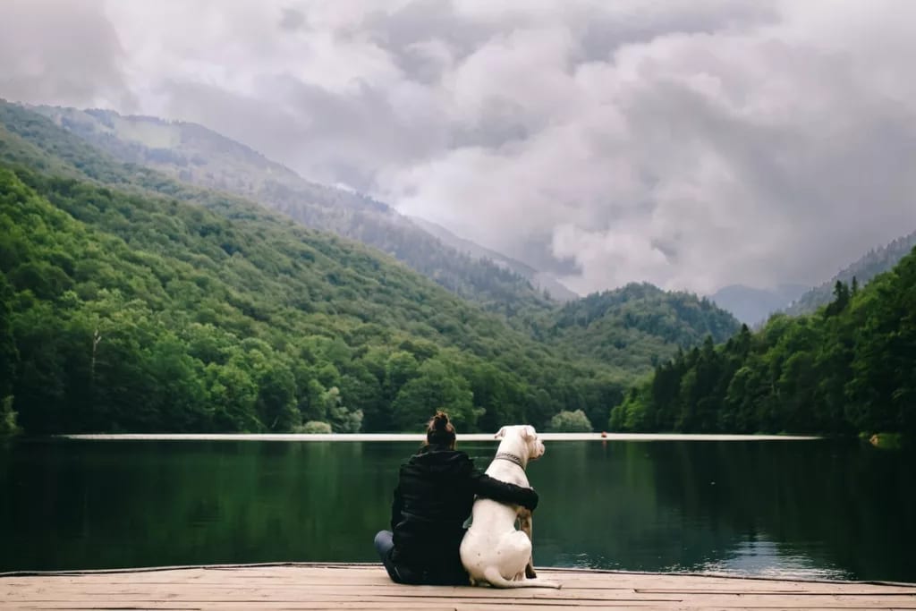 Woman with dog at lake NWPxkYS.width .jpg