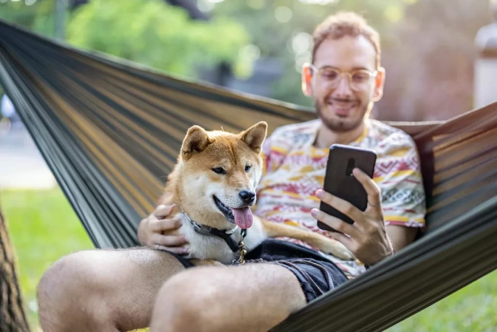 Man on hammock looking at his smartphone whil.width wANIld.jpg