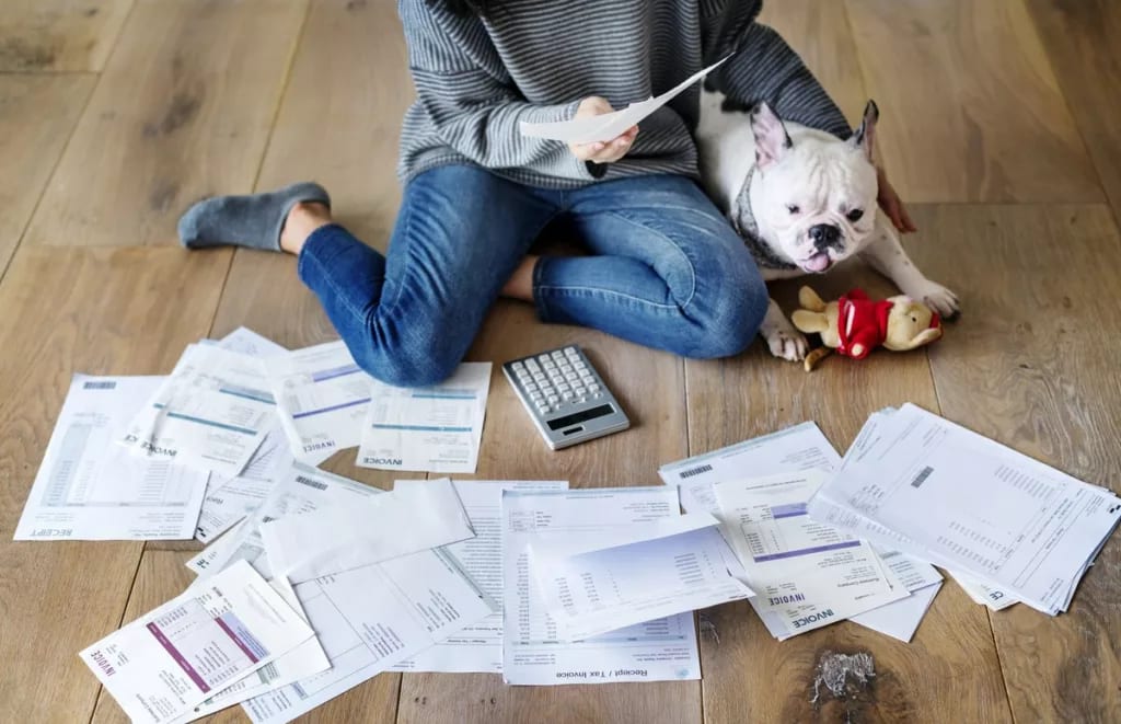 Woman and dog on floor with papers and calcul.width ZiKcSJ.jpg