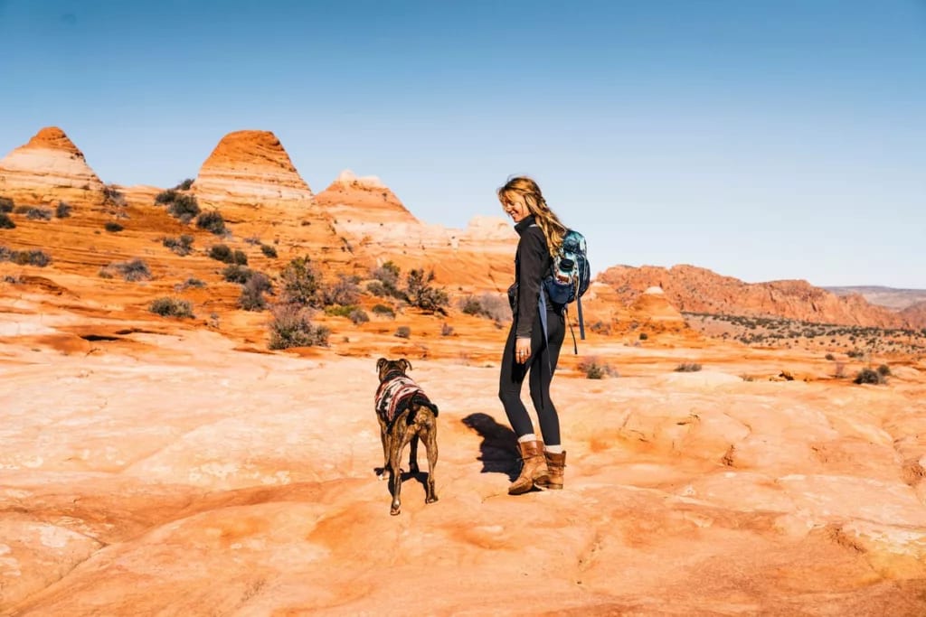 Woman hiking with dog in a southwest landscap.width JvErdj.jpg