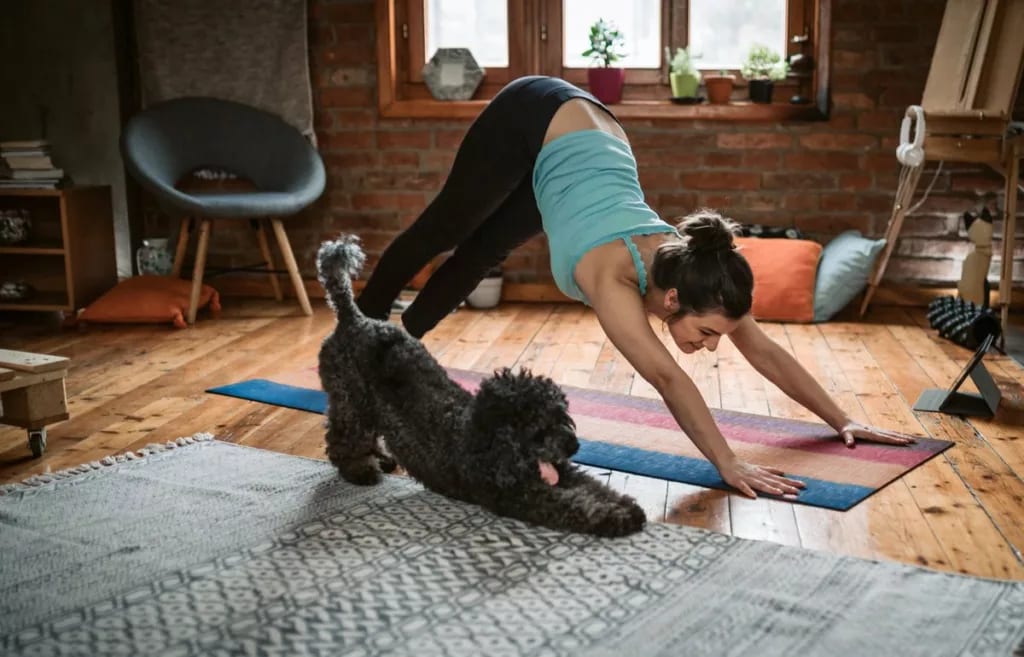 woman and dog doing yoga at home.width .jpg