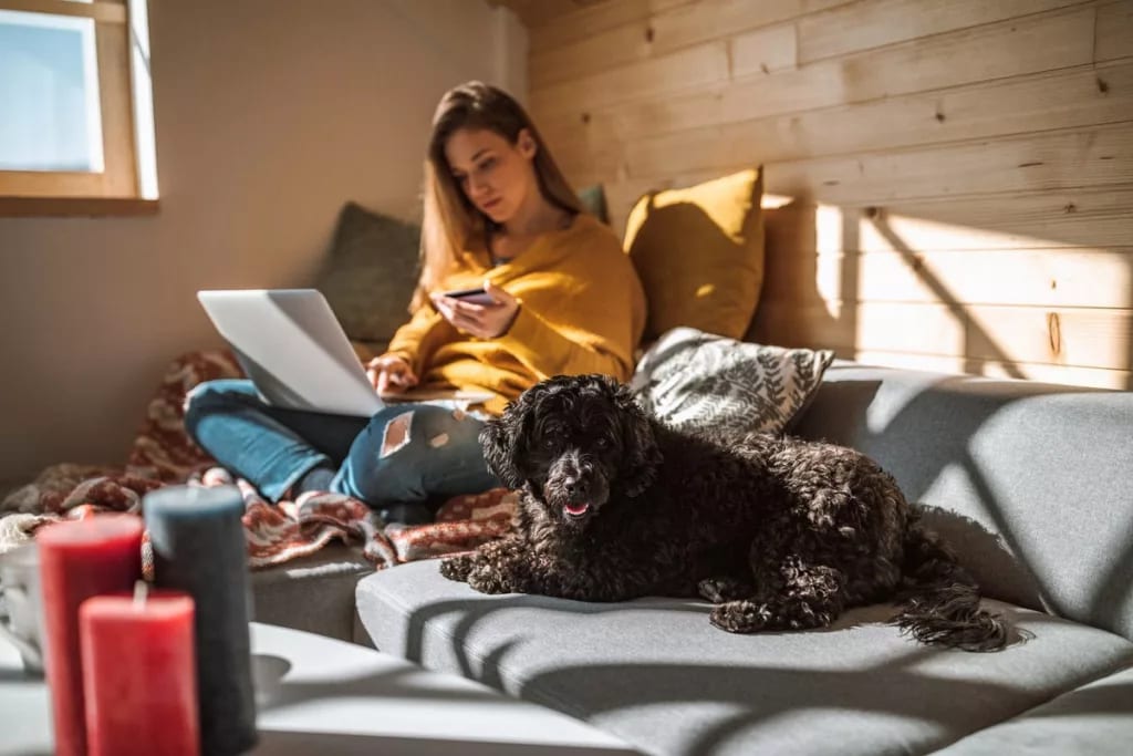 woman holding credit card with dog and laptop.width JcKQUn.jpg