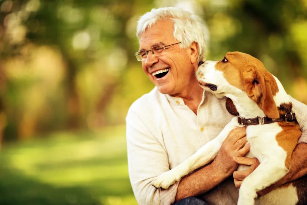 senior man smiling being licked by dog gettyimages .jpg