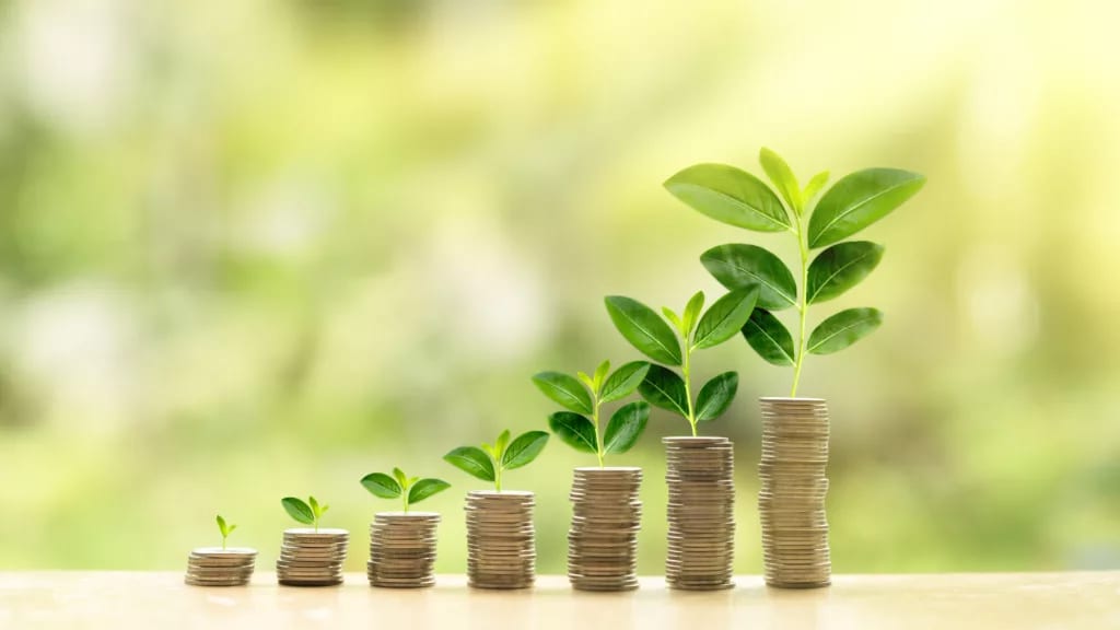 coins growing.jpg