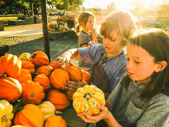 Children picking out pumpkins at a pumpkin pa.width Twwtqp.jpg