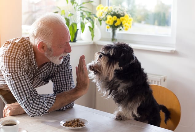 senior man with dog retired TRSb