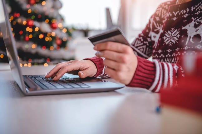 Online shopping credit card holidays.width .jpg