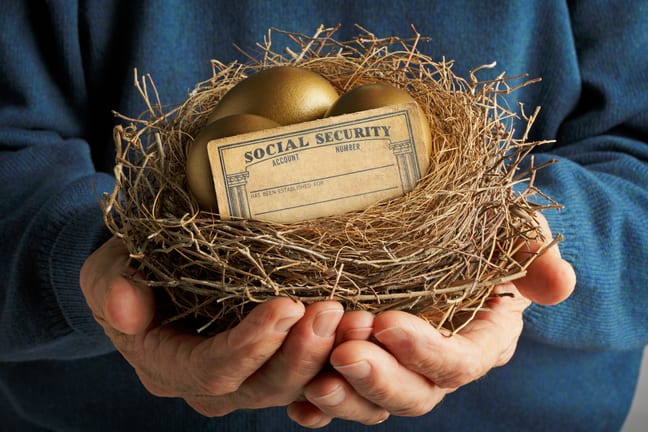 nest with golden eggs and social security card