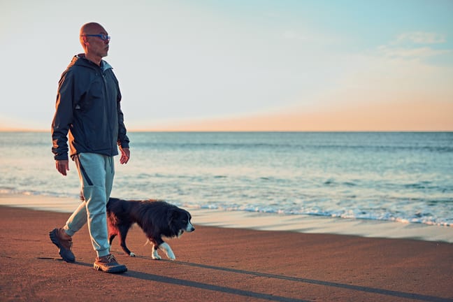 person walking on the beach with a dog