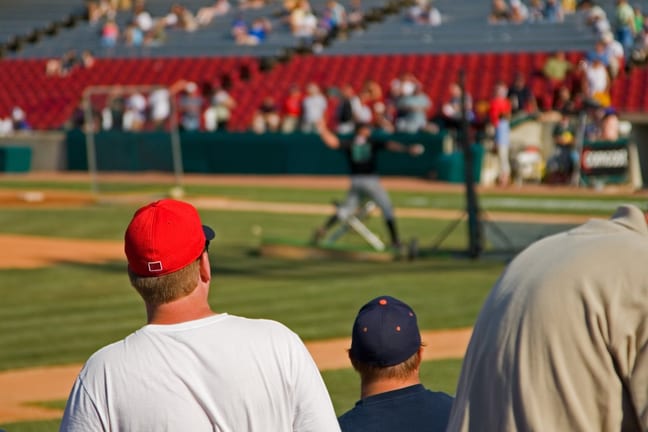 Baseball fans at a game ztEEpF.width .jpg
