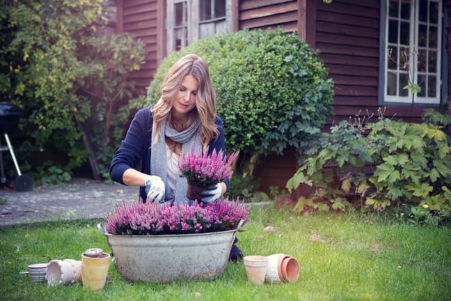 woman planting flowers enhM.width .jpg