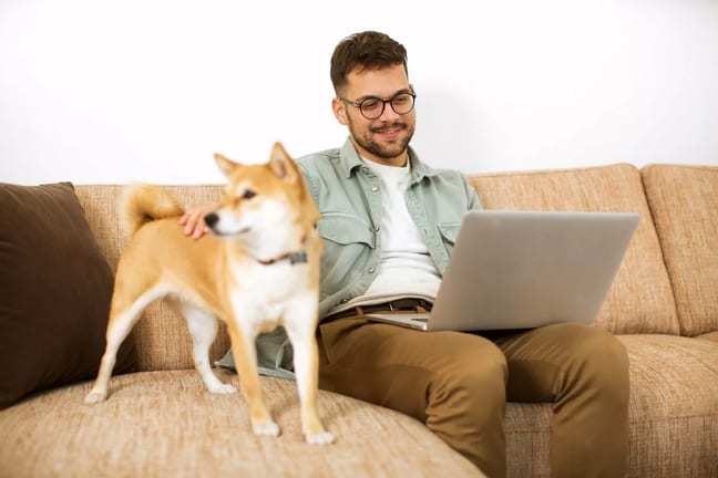 Man using laptop with his Shiba Inu dog besid.width VTxIaTW.jpg