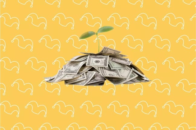 Jester money Svywio.width .jpg