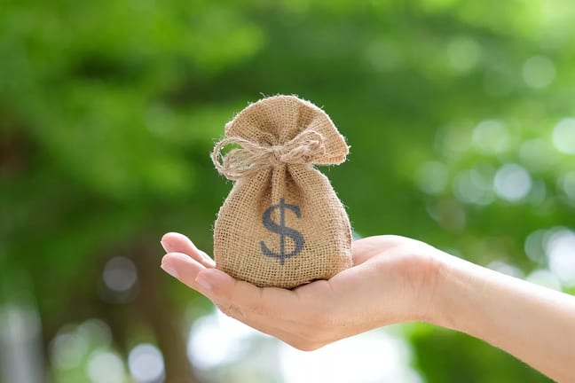 gettyimages money bag in palm.jpg