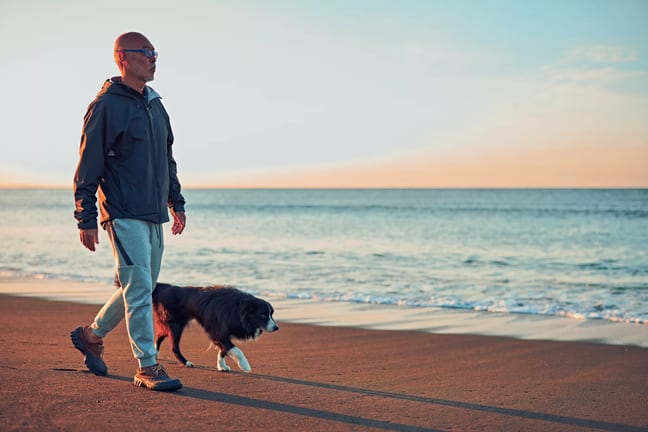 person walking on the beach with a dog.jpg