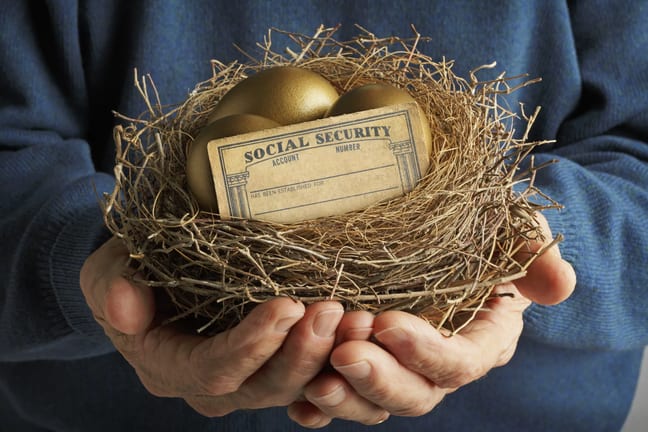 nest with golden eggs and social security card.jpg