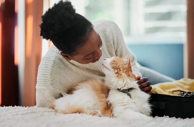 Person giving their pet cat affection. CuGSlY.width .jpg