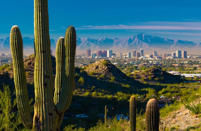 getty saguaro cactus with phoenix skyline in distance.jpg