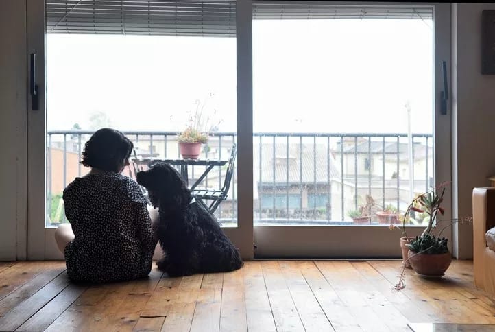 woman on floor in front of a window with dog.width .jpg