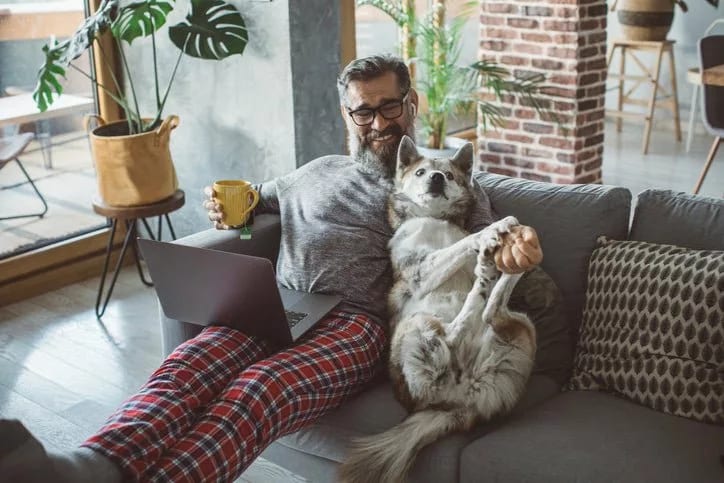 man and dog on couch with laptop mUnTuRP.width .jpg