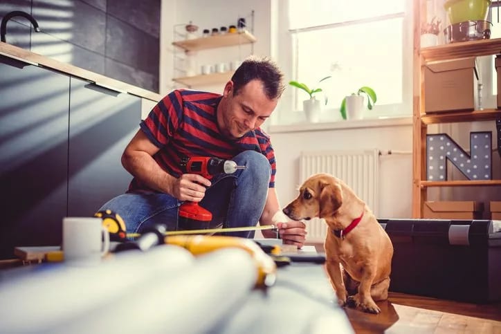 man and dog kitchen home renovation.width .jpg