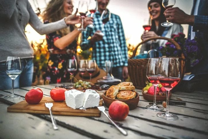 friends with wine and cheese in vineyard.width .jpg