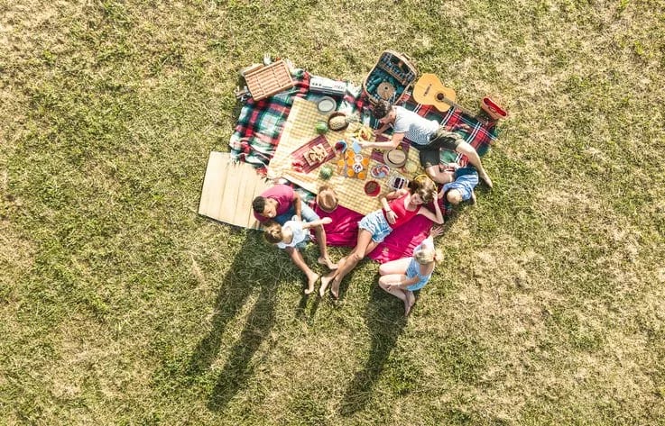 friends picnic on grass.width .jpg