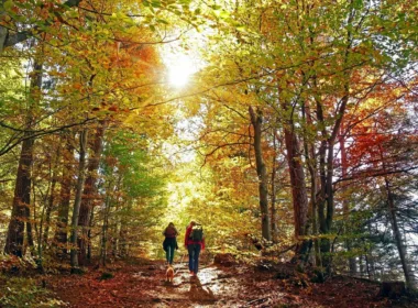 5 Awesome Fall Activities That Won't Break the Bank