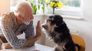 Here’s How Much You Can Safely Withdraw From a $1 Million Portfolio in Retirement